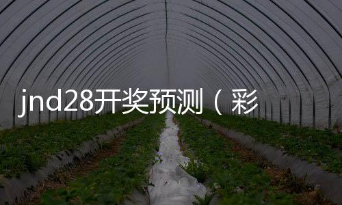 jnd28开奖预测（彩28开奖网）